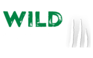 wilod casino