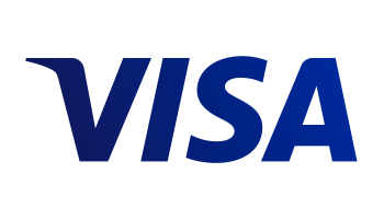 visa icon