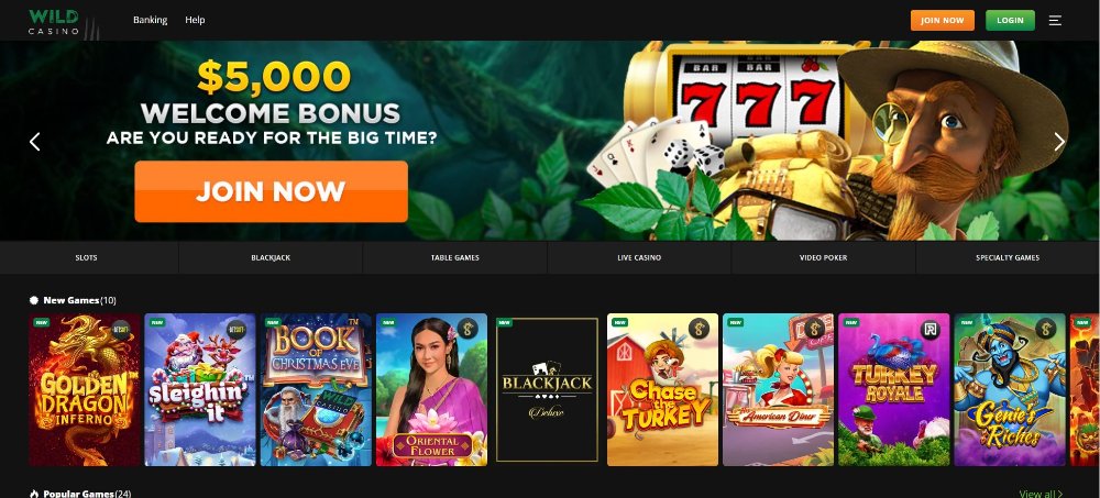 wild casino games