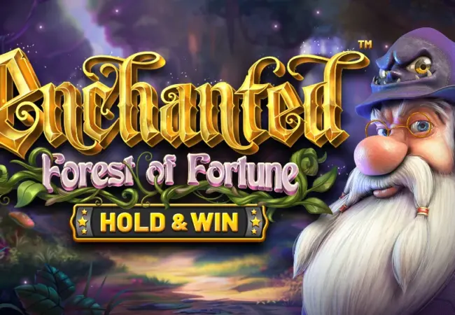 Enchanted Forest Of Fortune