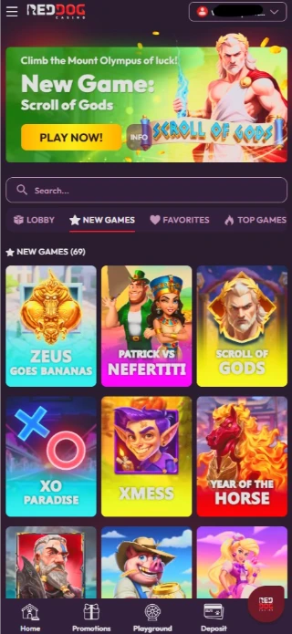 Red Dog Casino Mobile Interface Performance
