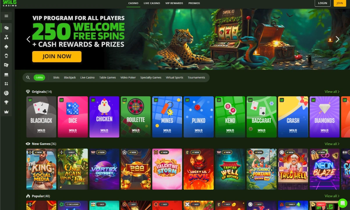 Wild Casino Interface