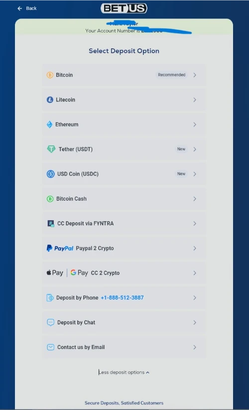 BetUS Deposit Options and Cashier Interface