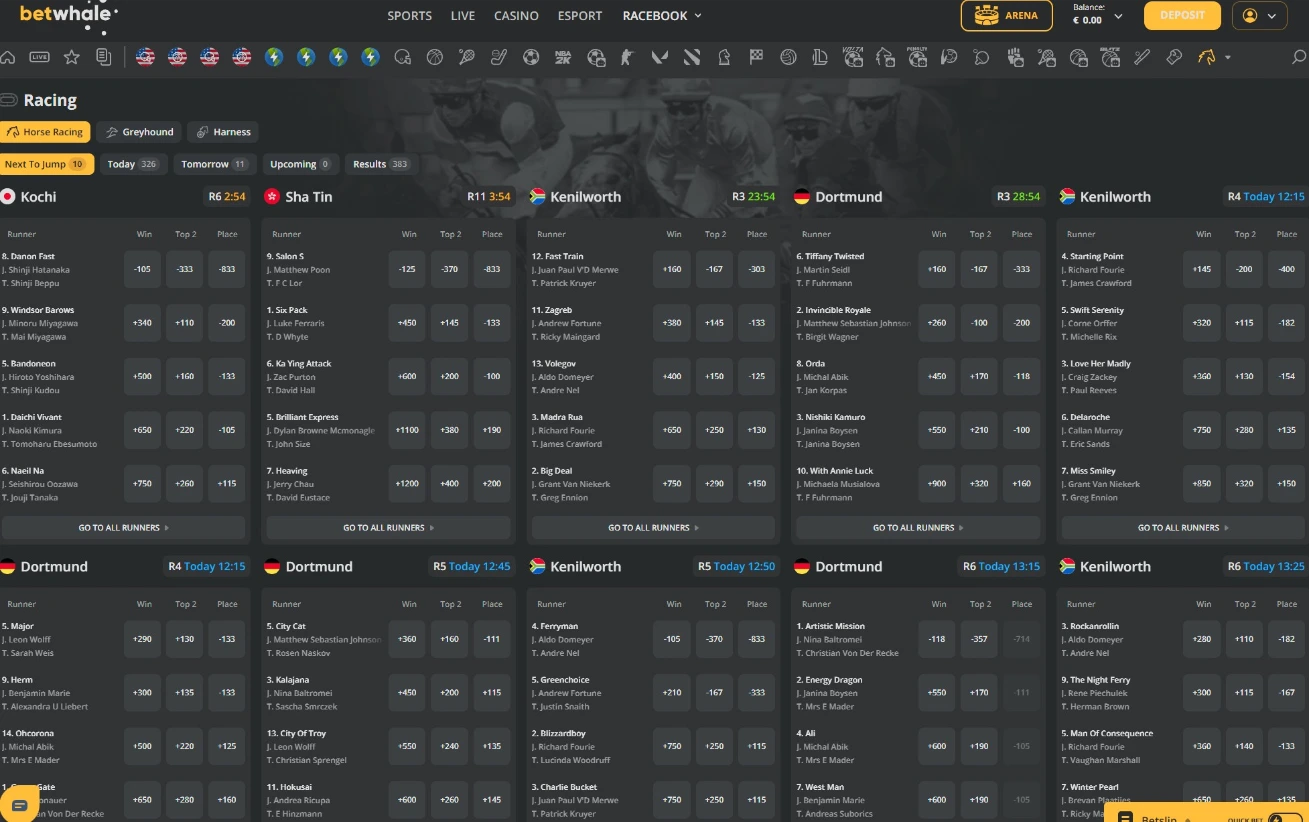 BetWhale Daily Horse Racing Portal