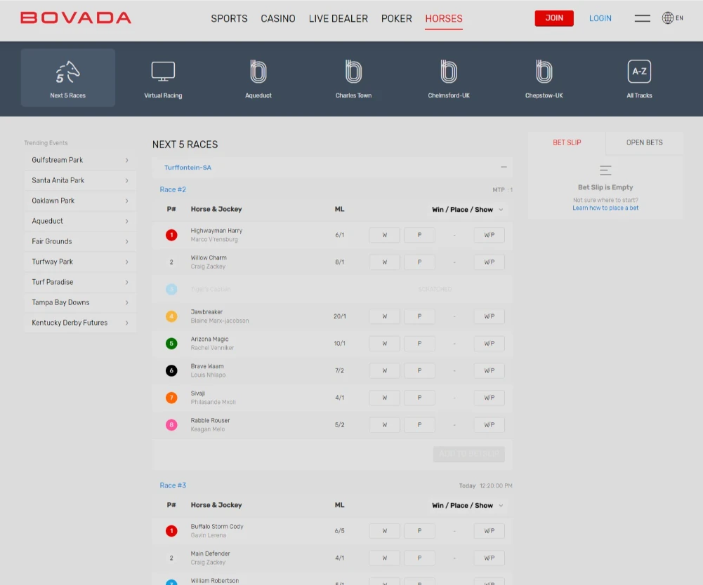 Bovada Horse Racing Interface
