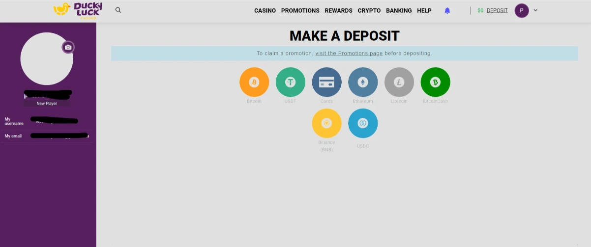 DuckyLuck Casino Deposit Cashier Interface