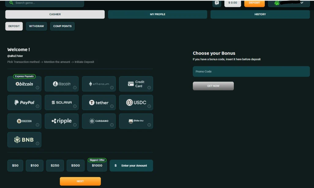 Lucky Tiger Casino Deposit Cashier Showing Crypto and PayPal