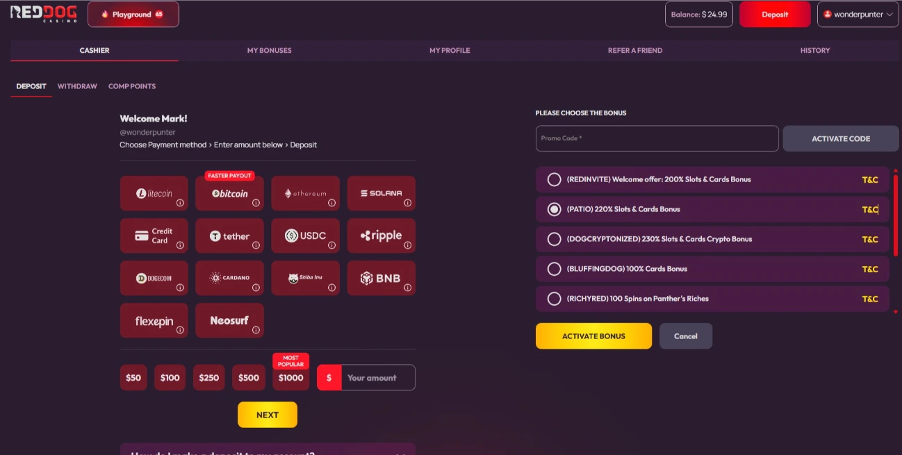 Red Dog Casino Active Deposit Cashier Options