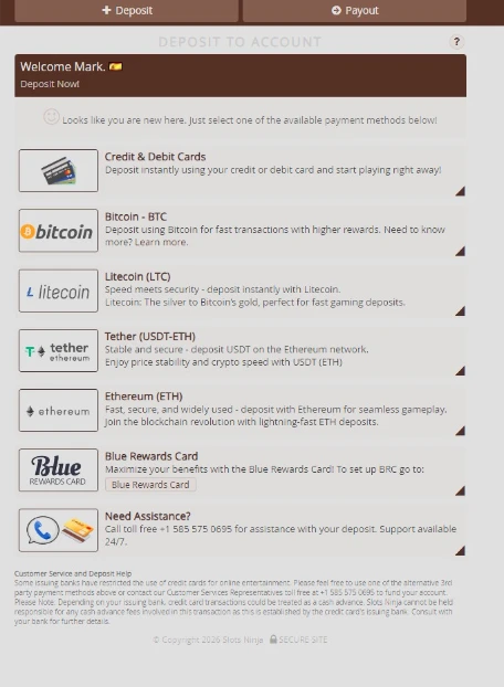Slots Ninja Deposit Cashier Interface