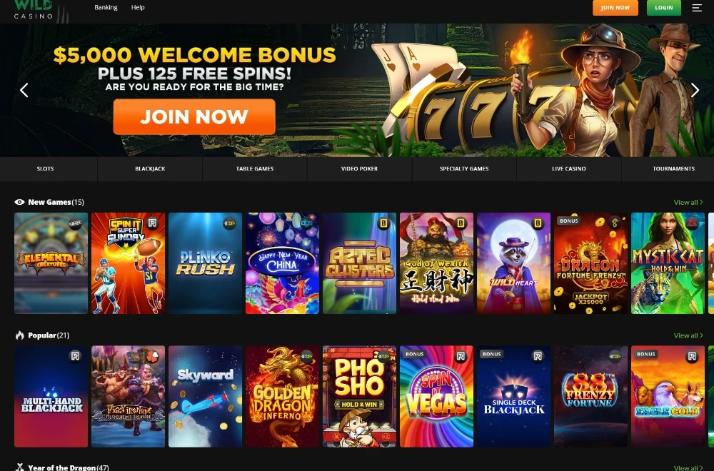 Wild Casino Bitcoin
