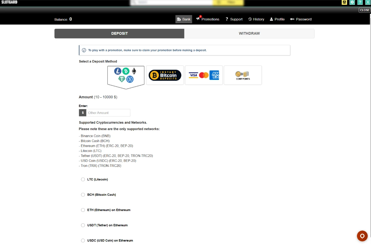 Slotgard Casino Deposit Cashier Interface