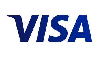 visa icon