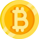 bitcoin icon